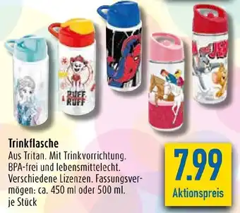 diska Trinkflasche Angebot