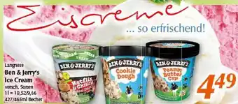 inkoop Ben & jerry's ice cream langnese Angebot