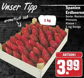 Hit Spanien Erdbeeren 1kg Steige Angebot