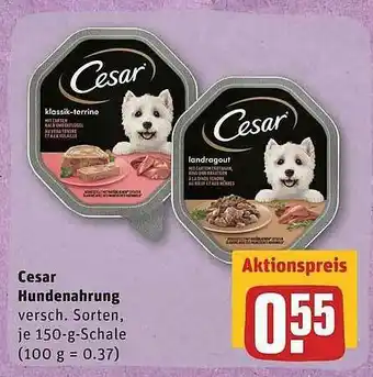 REWE Cesar Hundenahrung 150g Angebot