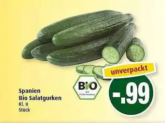 Markant Spanien Bio Salatgurken Angebot