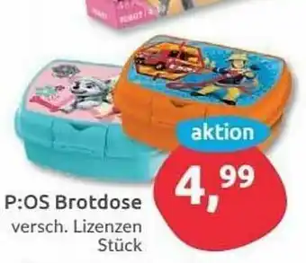 Budni P:os Brotdose Angebot