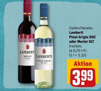 REWE Lamberti pinot grigio doc oder merlot igt Angebot