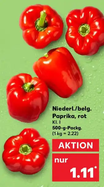 Kaufland Niederl./belg. Paprika, rot 500 g Packg. Angebot