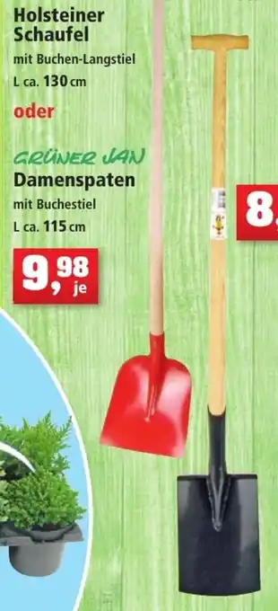 Thomas Philipps Holsteiner Schaufel oder Grüner Jan Damenspaten Angebot