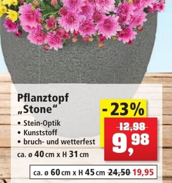Thomas Philipps Pflanztopf ,,Stone" Angebot