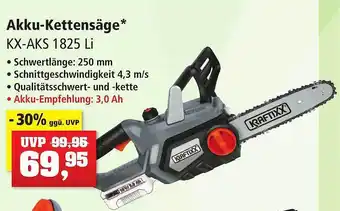 Thomas Philipps Akku-kettensäge Angebot
