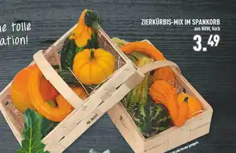 Marktkauf Zierkürbis-mix im spankorb Angebot