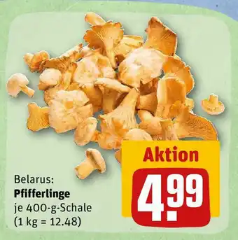 REWE Pfifferlinge 400g Angebot