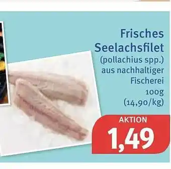 Feneberg Frisches seelachsfilet Angebot