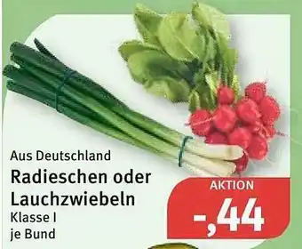 Feneberg Aus deutschland radieschen oder lauchzwiebeln klasse Angebot