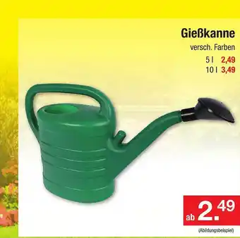 Zimmermann Gießkanne versch. farben Angebot