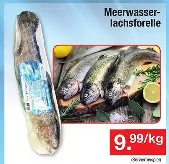 Zimmermann Meerwasser-lachsforelle Angebot