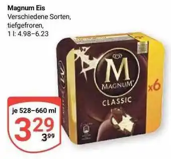 Globus Magnum eis Angebot