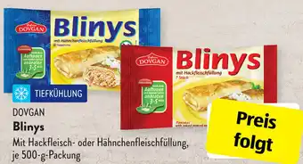 Aldi Süd Dovgan Blinys 500 g Packung Angebot