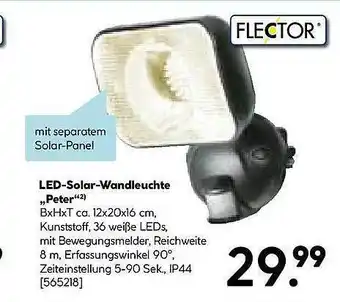 Hellweg Led-solar-wandleuchte „peter“ flector Angebot