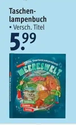 Rossmann Taschenlampenbuch Angebot