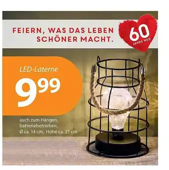 NKD Led-laterne Angebot