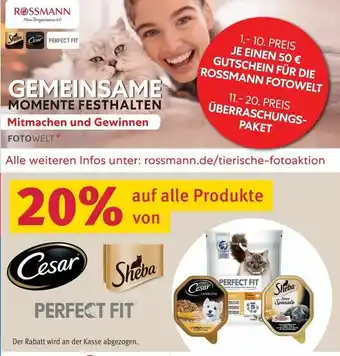 Rossmann Cesar, Sheba Perfect Fit Angebot