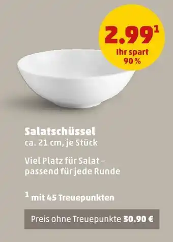 PENNY Salatschüssel Angebot