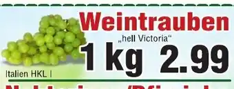 Wiglo Wunderland Weintrauben ,,hell Victoria" 1kg Angebot