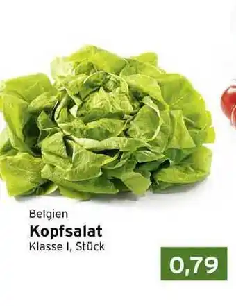 CAP Markt Kopfsalat Angebot