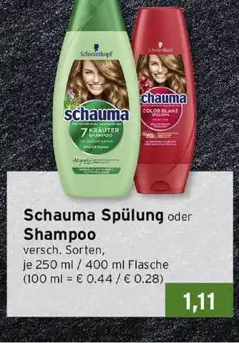 CAP Markt Schauma Spülung Oder Shampoo 250ml Angebot