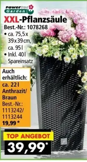 Norma24 XXL-Pflanzsäule Angebot