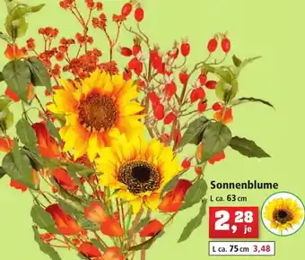 Thomas Philipps Sonnenblume L ca. 63 cm Angebot