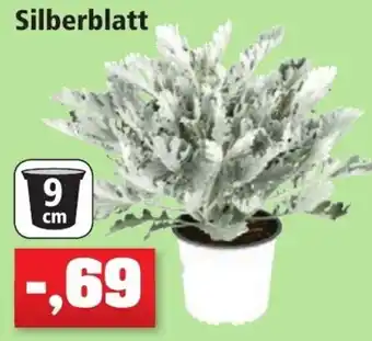 Thomas Philipps Silberblatt Angebot