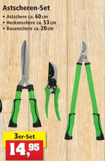 Thomas Philipps Astscheren Set Angebot