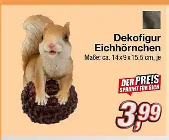 KiK Dekofigur eichhörnchen Angebot