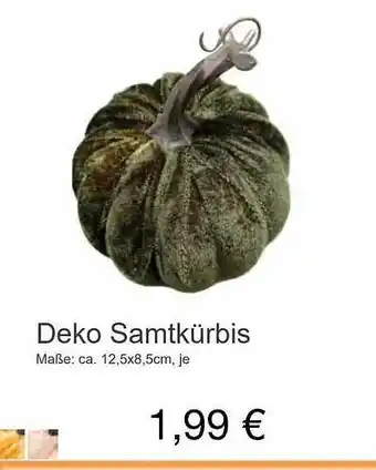 KiK Deko samtkürbis Angebot