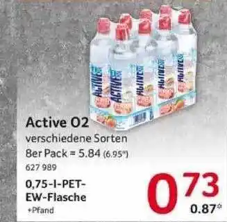 Selgros Active 02 Angebot