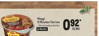 METRO Maggi 5 minuten terrine Angebot