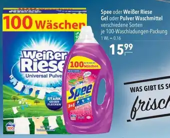 CITTI Markt Spee oder Weißer Riese Gel oder Pulver Waschmittel 100 Waschladungen Packung Angebot