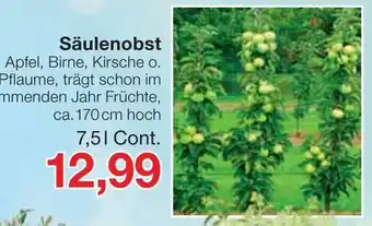 Jawoll Säulenobst Angebot