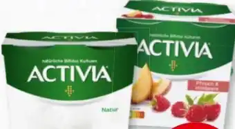 Nah & Frisch Activia Angebot