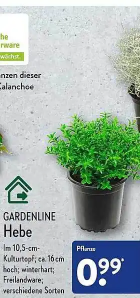 Aldi Nord Gardenline hebe Angebot