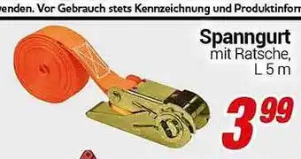 CENTERSHOP Spanngurt Angebot