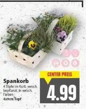 E-Center Spankorb Angebot