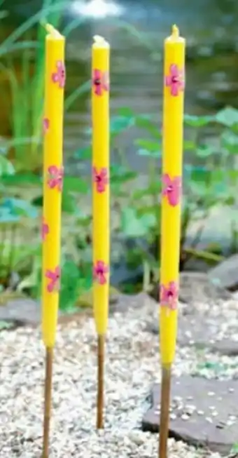 Thomas Philipps Gartenfackeln Angebot