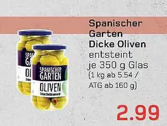 akzenta Spanischer garten dicke oliven Angebot