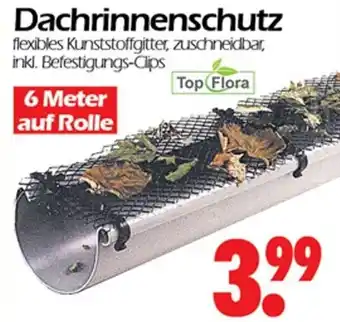 Wreesmann Dachrinnenschutz Angebot