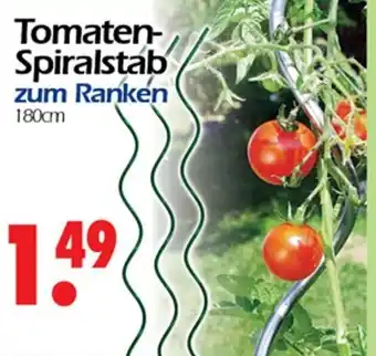 Wreesmann Tomaten Spiralstab zum Ranken 180 cm Angebot