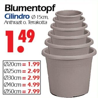 Wreesmann Blumentopf Cilindro Angebot