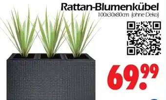 Wreesmann Rattan Blumenkübel Angebot