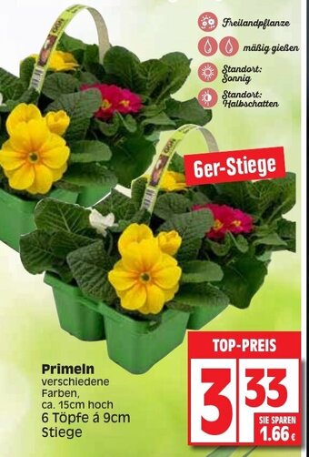 Edeka Primeln Angebot