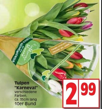 Edeka Tulpen "Karneval" Angebot