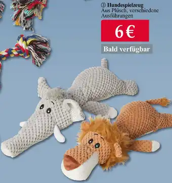 Woolworth Hundespielzeug Angebot